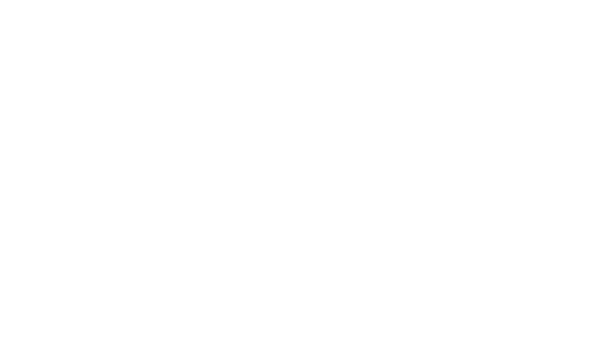 Budget MSC — Management & Studies Consultancy