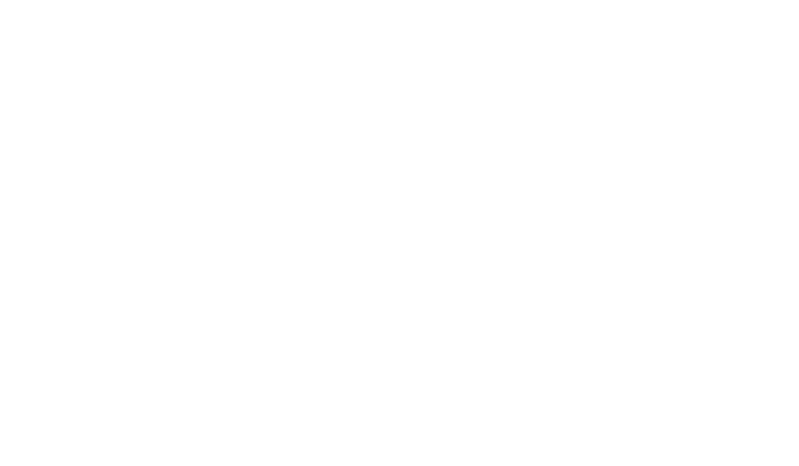 Budget MSC